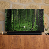 Sonos Arc 5.0 ch Soundbar - Black