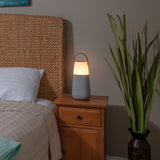 ION Bright Max™ Plus PORTABLE 360° BLUETOOTH® -ENABLED SPEAKER WITH LIGHTS, MULTI-SYNC™, AND DUAL CONNECT™ AUDIO