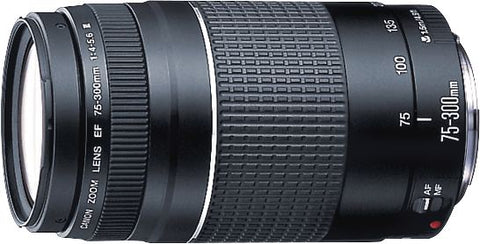 Canon - EF 75-300mm f/4-5.6 III Telephoto Zoom Lens - Multi