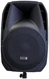 Edison Professional M-2000 Speaker